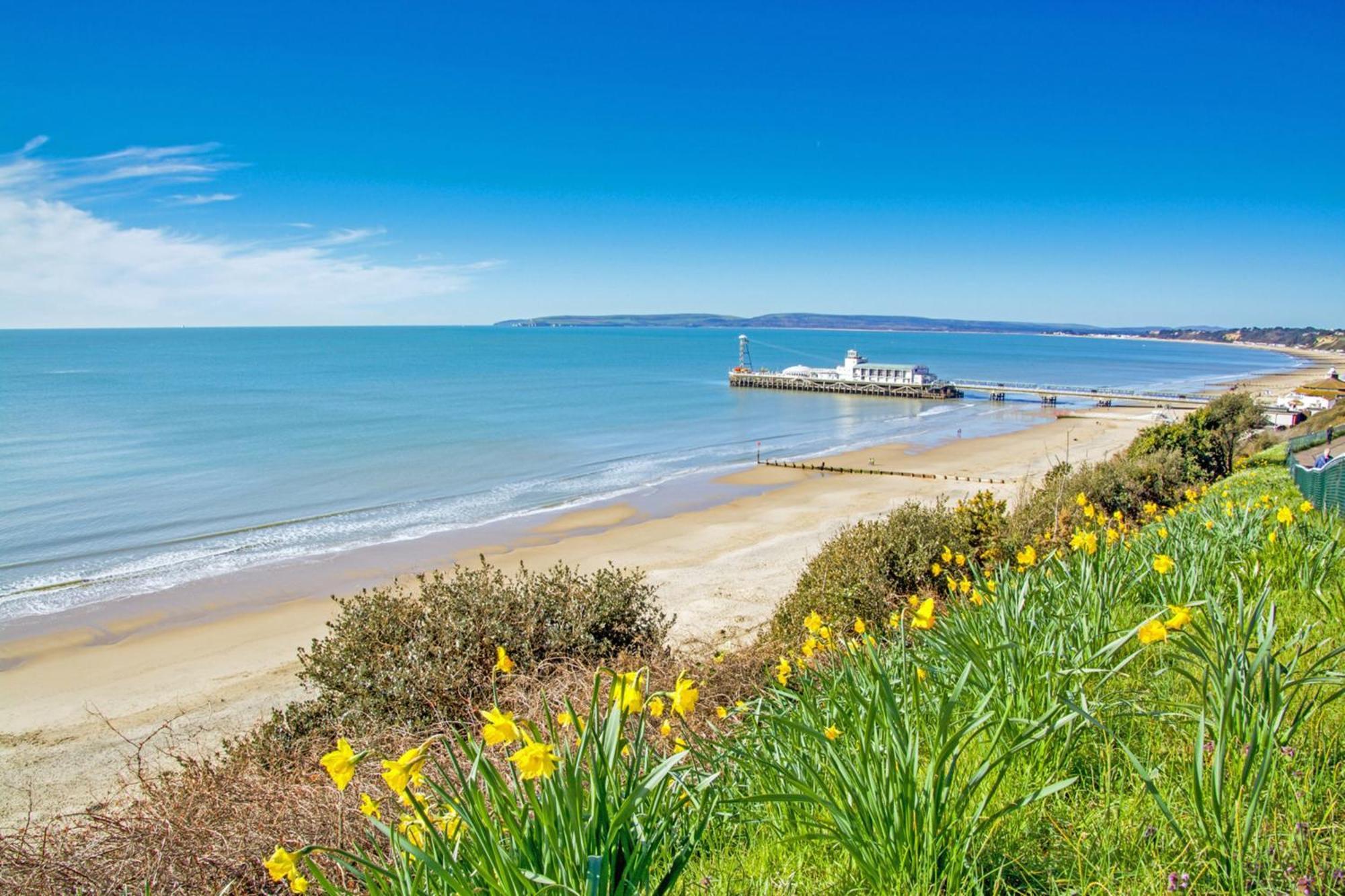 Bournecoast - Clifftop Apartment With Garden -Fm827 伯恩茅斯 外观 照片